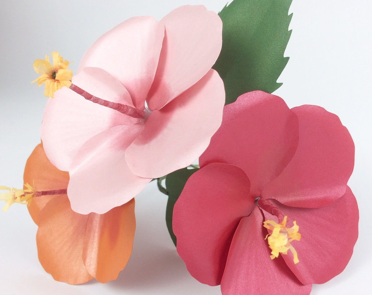 Hibiscus Paper Flower Template