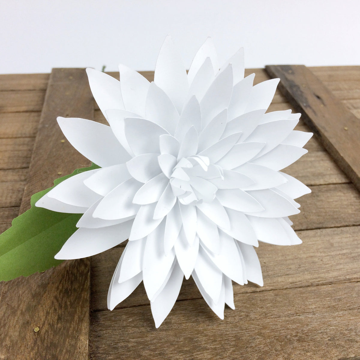 Dahlia Paper Flower Pattern