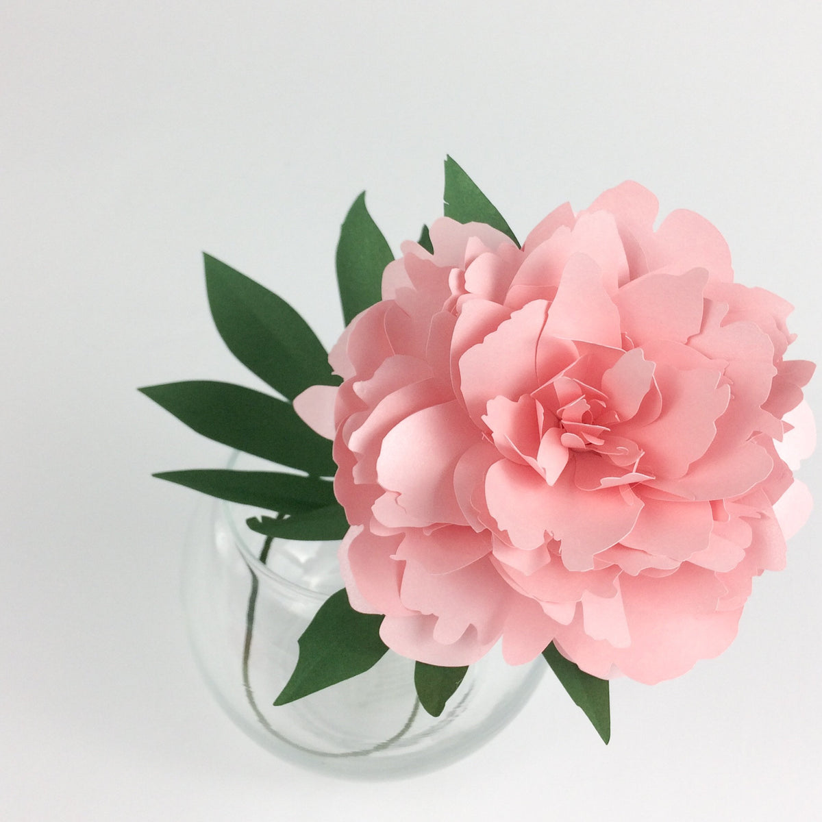 Peony Paper flower template