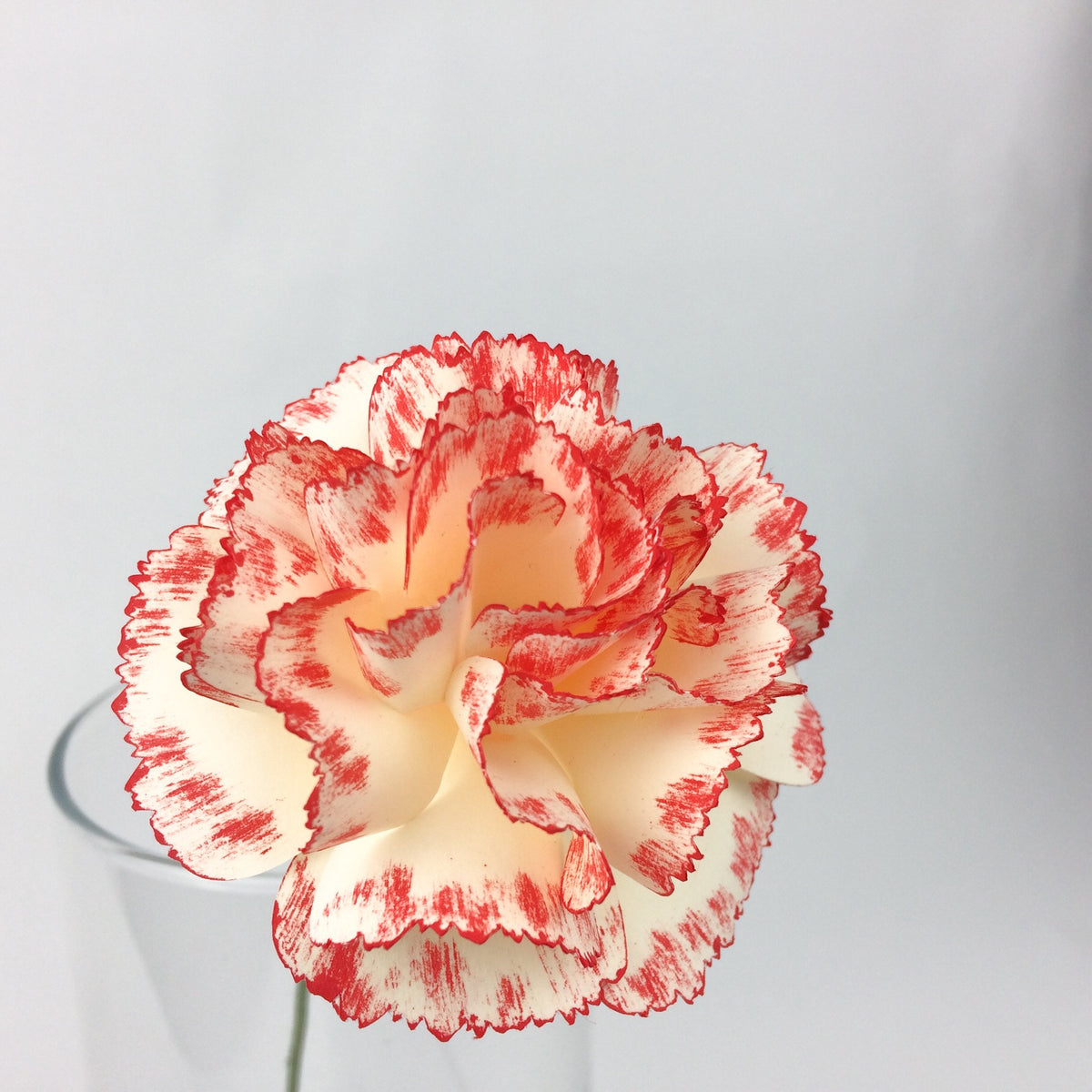 Carnation Paper Flower Template