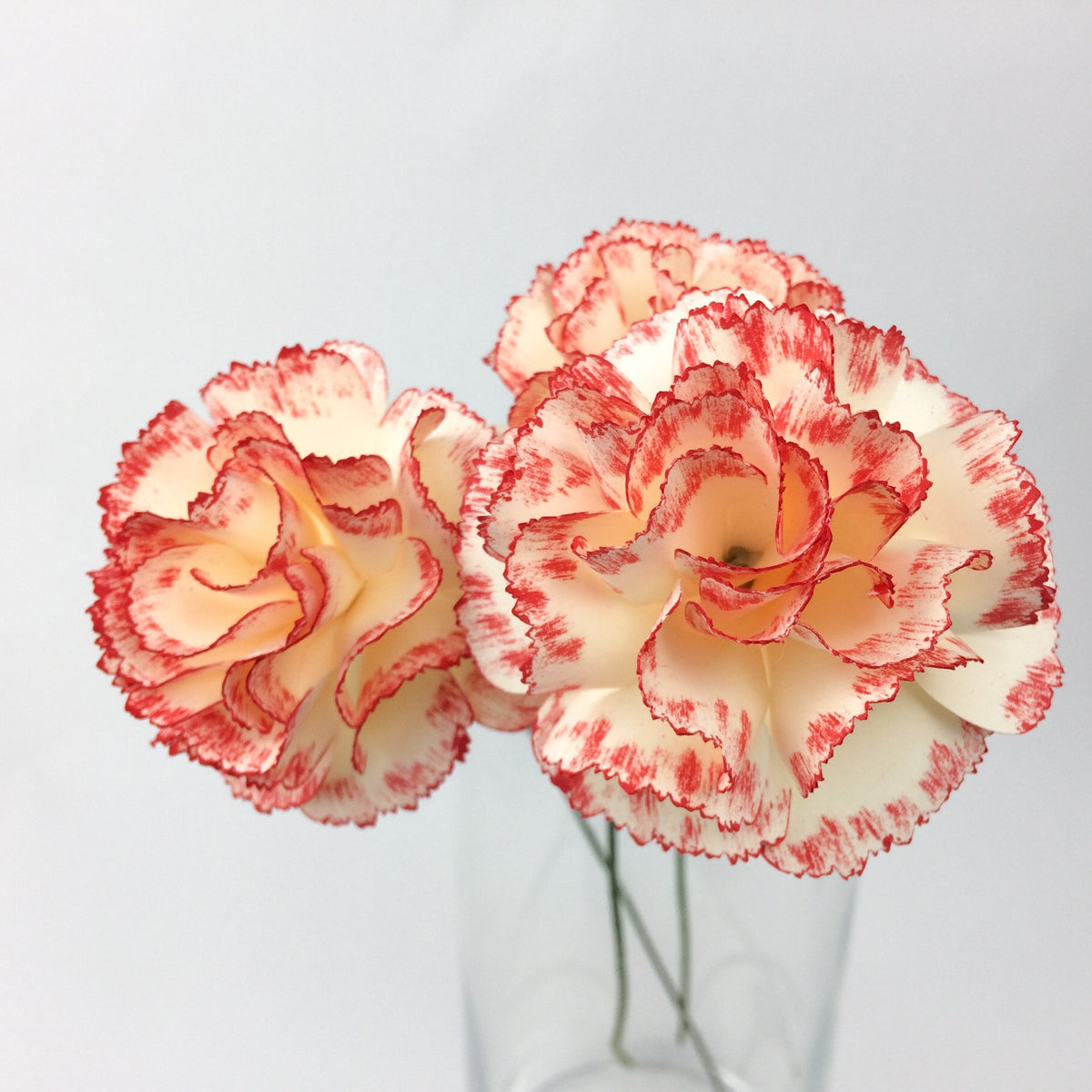 Carnation Paper Flower Template
