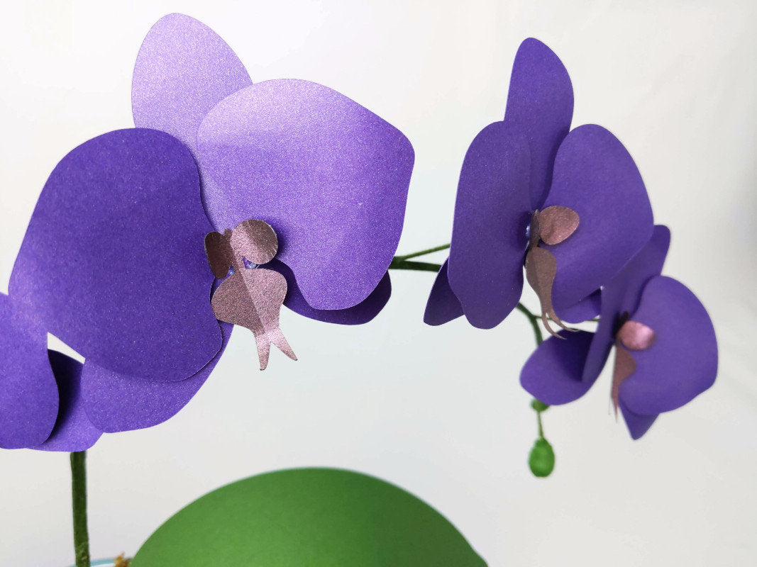 Paper Orchid template