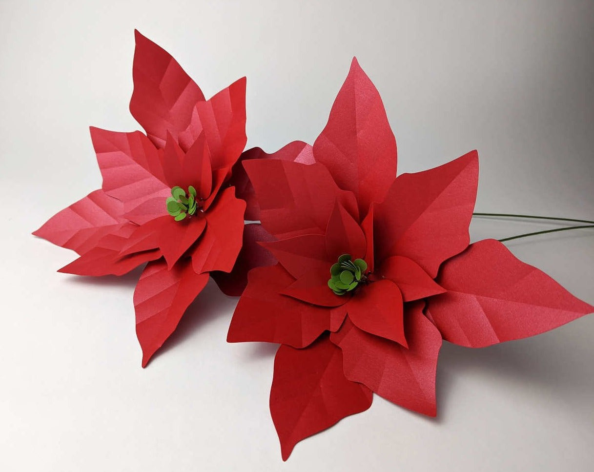 Poinsettia Paper Flower Template