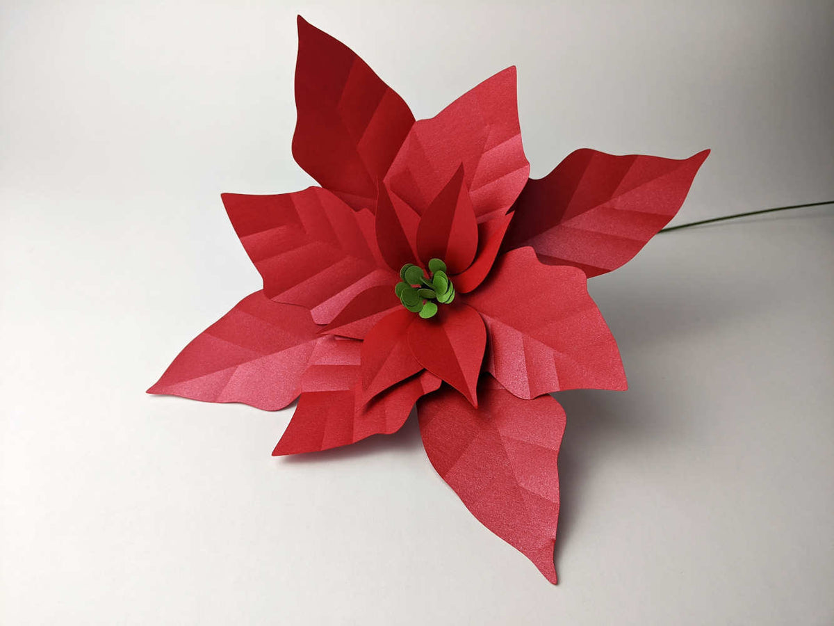 Poinsettia Paper Flower Template