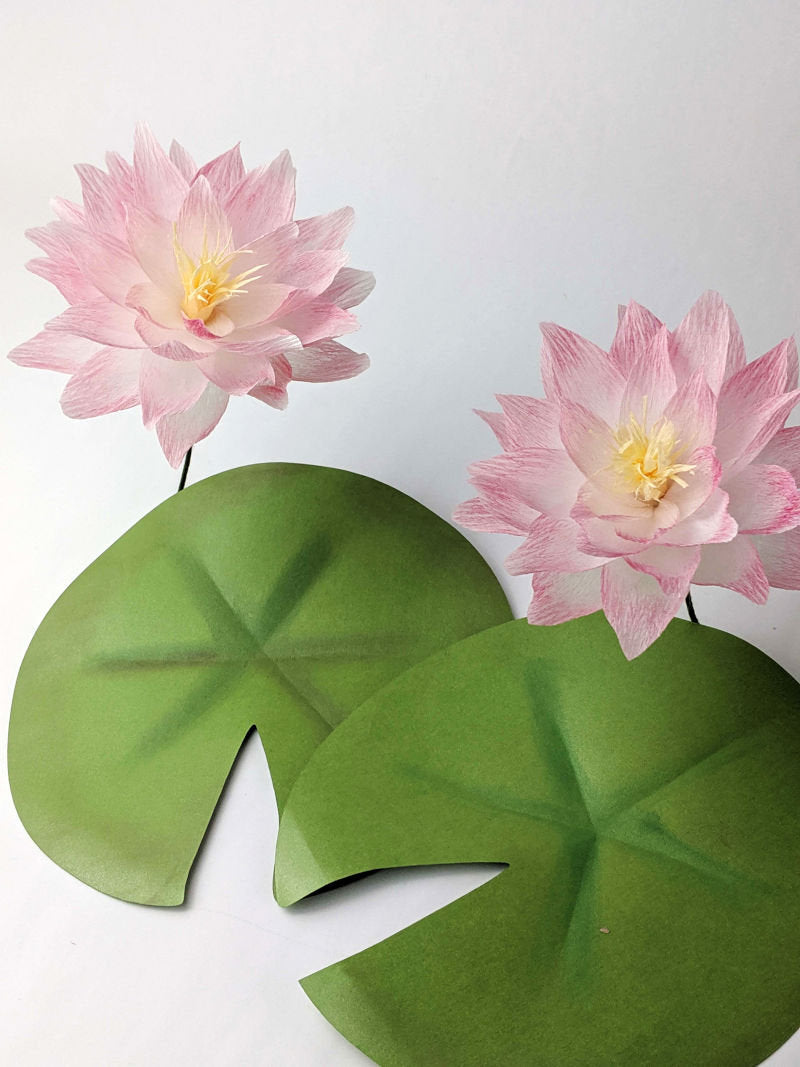 Crepe Paper Water Lily
