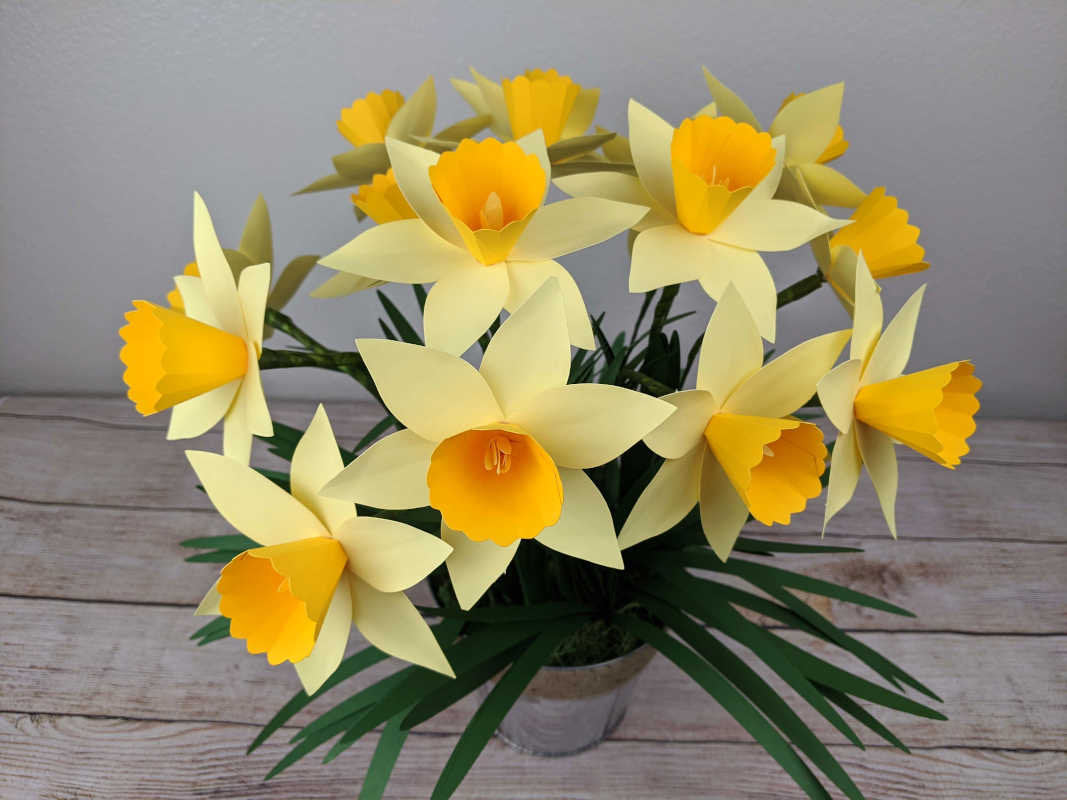 Paper Daffodil Template