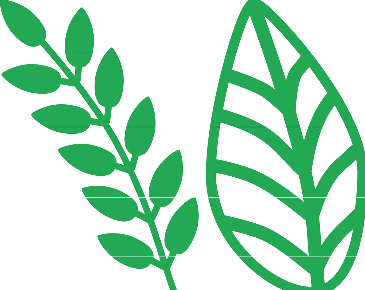 Leafs and vines SVG