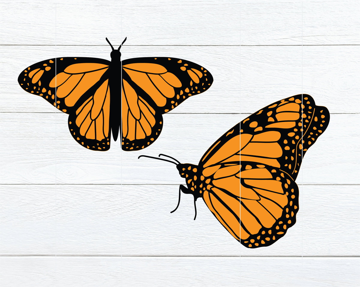 Monarch Butterfly SVG