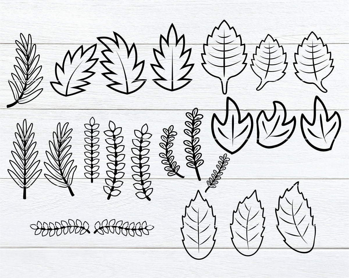 Leaves and Vines SVG